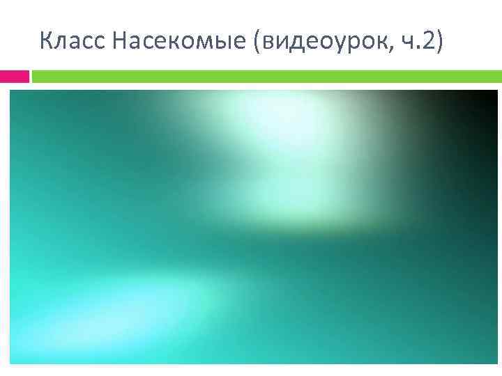 Класс Насекомые (видеоурок, ч. 2) 