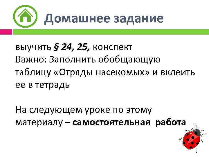 Домашнее задание выучить § 24, 25, конспект Важно: Заполнить обобщающую таблицу «Отряды насекомых» и