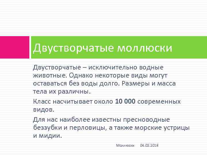 Двустворчатые моллюски Двустворчатые – исключительно водные животные. Однако некоторые виды могут оставаться без воды