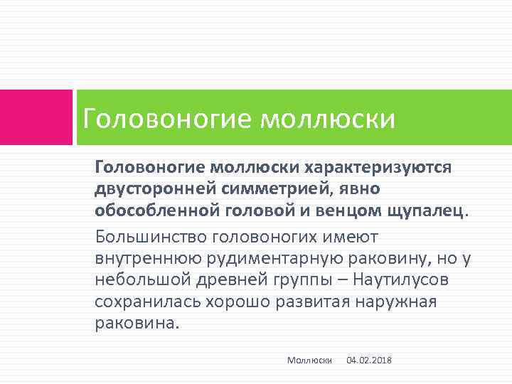Головоногие моллюски характеризуются двусторонней симметрией, явно обособленной головой и венцом щупалец. Большинство головоногих имеют