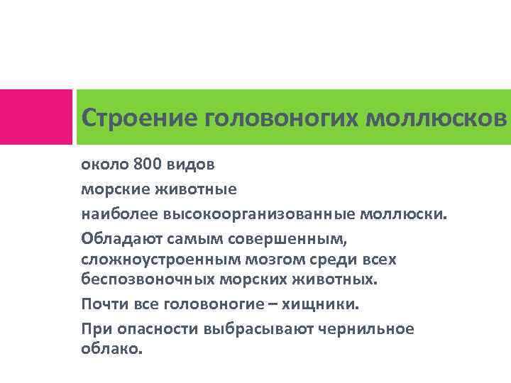 Строение головоногих моллюсков около 800 видов морские животные наиболее высокоорганизованные моллюски. Обладают самым совершенным,