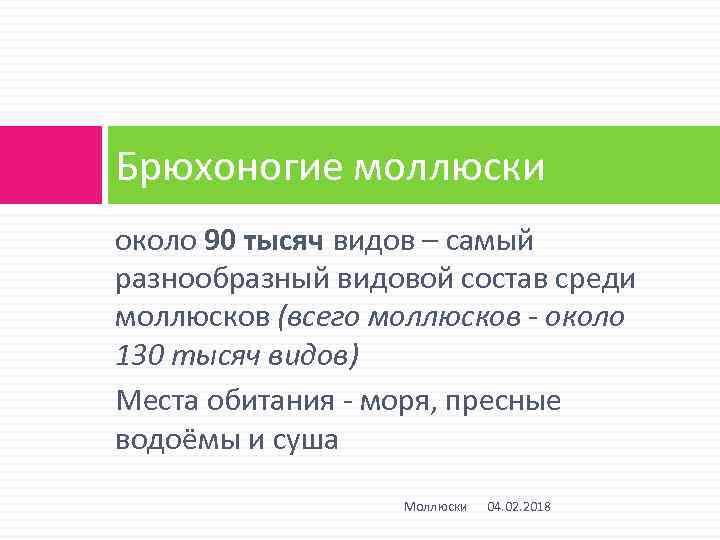 Брюхоногие моллюски около 90 тысяч видов – самый разнообразный видовой состав среди моллюсков (всего