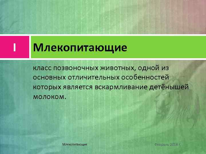 I Млекопитающие класс позвоночных животных, одной из основных отличительных особенностей которых является вскармливание детёнышей