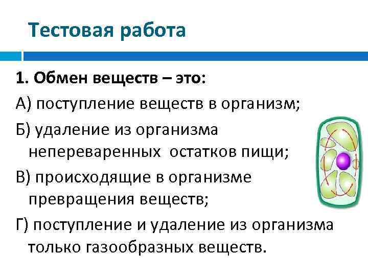 Тестовая работа 1. Обмен веществ – это: А) поступление веществ в организм; Б) удаление