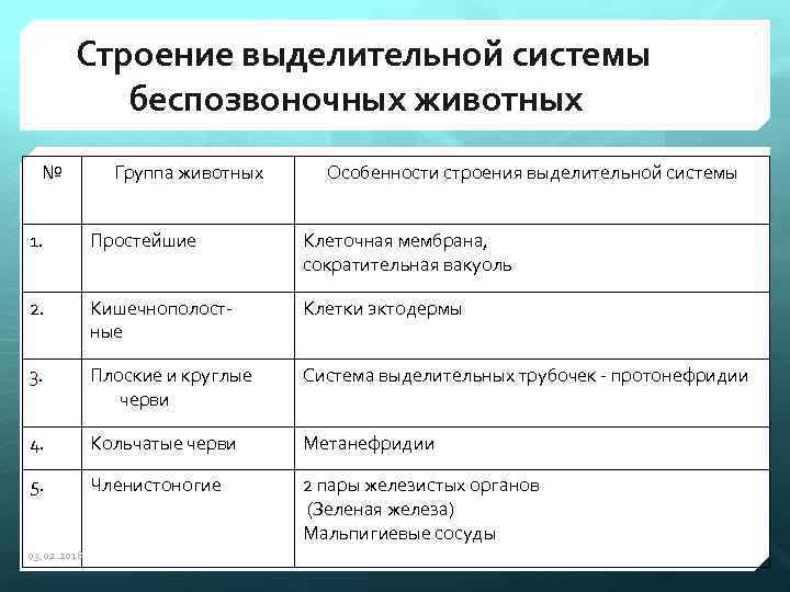 Строение выделительной системы беспозвоночных животных № Группа животных Особенности строения выделительной системы 1. Простейшие