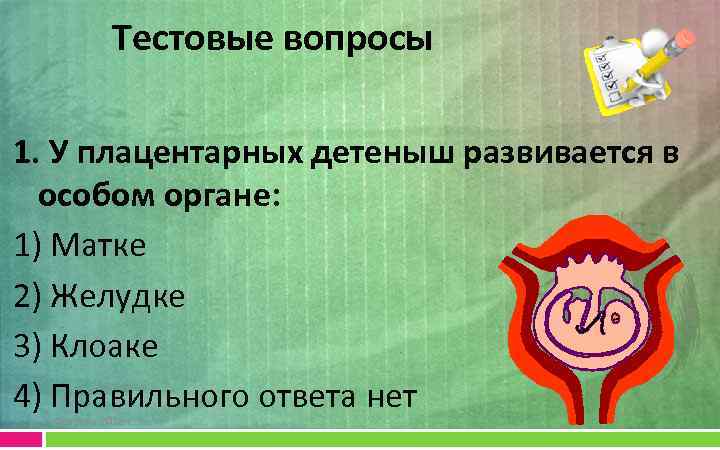 Тестовые вопросы 1. У плацентарных детеныш развивается в особом органе: 1) Матке 2) Желудке