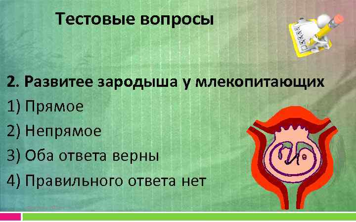 Тестовые вопросы 2. Развитее зародыша у млекопитающих 1) Прямое 2) Непрямое 3) Оба ответа