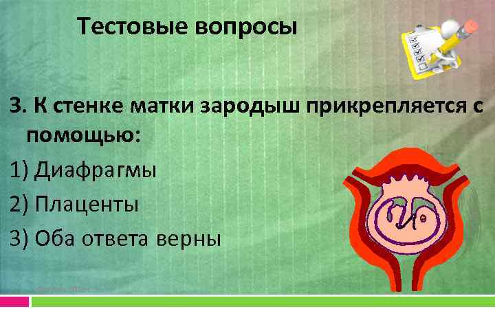 Тестовые вопросы 3. К стенке матки зародыш прикрепляется с помощью: 1) Диафрагмы 2) Плаценты