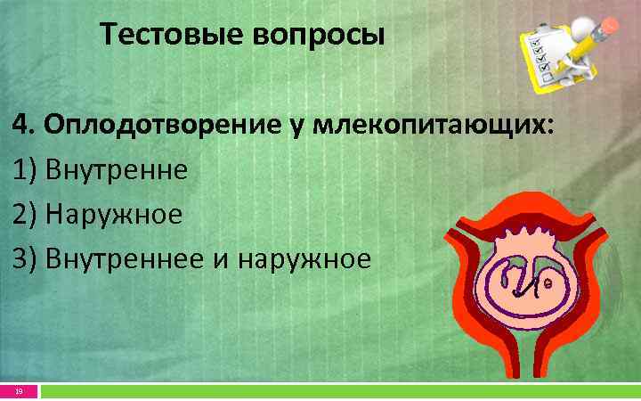 Тестовые вопросы 4. Оплодотворение у млекопитающих: 1) Внутренне 2) Наружное 3) Внутреннее и наружное