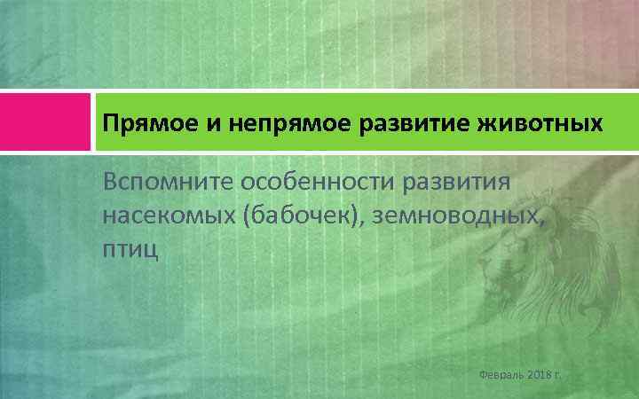 Прямое и непрямое развитие животных Вспомните особенности развития насекомых (бабочек), земноводных, птиц Февраль 2018