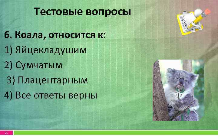 Тестовые вопросы 6. Коала, относится к: 1) Яйцекладущим 2) Сумчатым 3) Плацентарным 4) Все