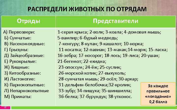 РАСПРЕДЕЛИ ЖИВОТНЫХ ПО ОТРЯДАМ Отряды А) Первозвери: Б) Сумчатые: В) Насекомоядные: Г) Грызуны: Д)