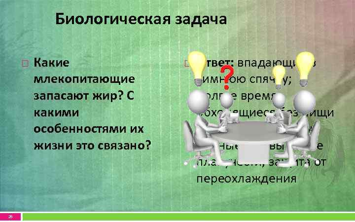 Биологическая задача 26 Какие млекопитающие запасают жир? С какими особенностями их жизни это связано?