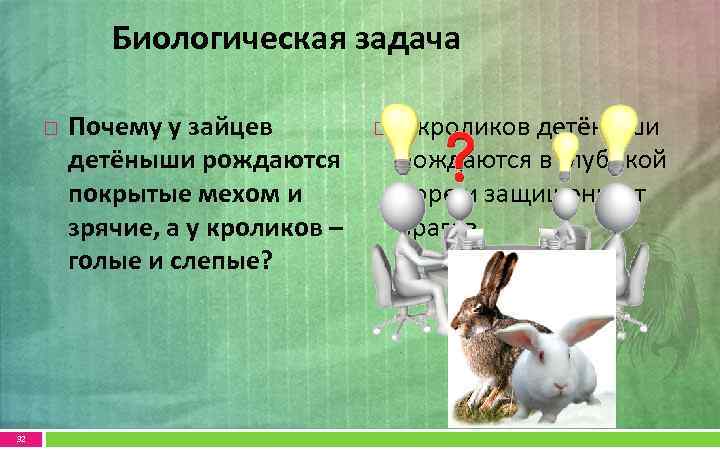 Биологическая задача 32 Почему у зайцев детёныши рождаются покрытые мехом и зрячие, а у