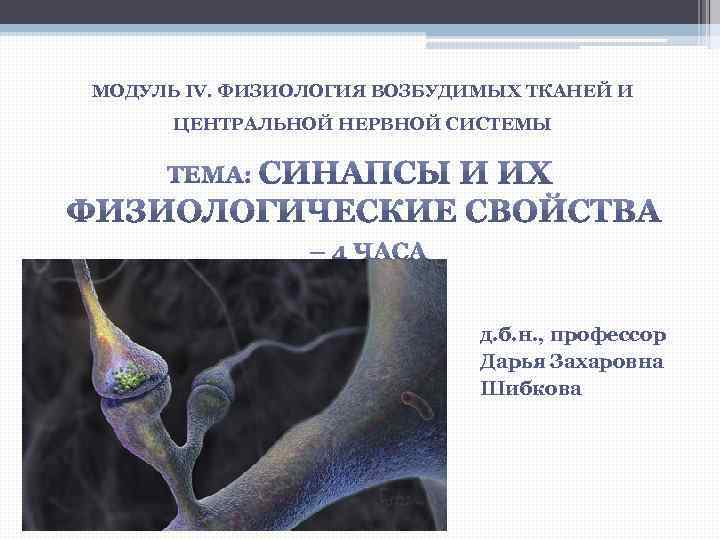 МОДУЛЬ IV. ФИЗИОЛОГИЯ ВОЗБУДИМЫХ ТКАНЕЙ И ЦЕНТРАЛЬНОЙ НЕРВНОЙ СИСТЕМЫ д. б. н. , профессор