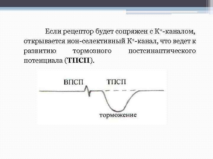 Если рецептор будет сопряжен с К+-каналом, открывается ион-селективный К+-канал, что ведет к развитию тормозного