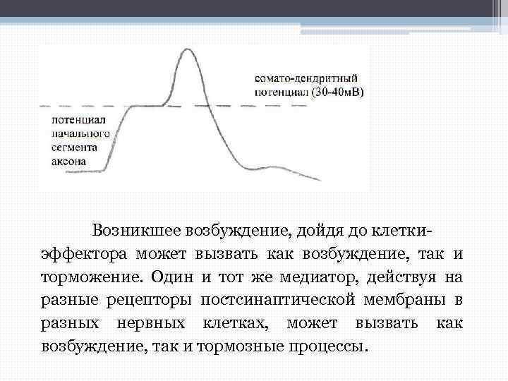 Возникшее возбуждение, дойдя до клеткиэффектора может вызвать как возбуждение, так и торможение. Один и