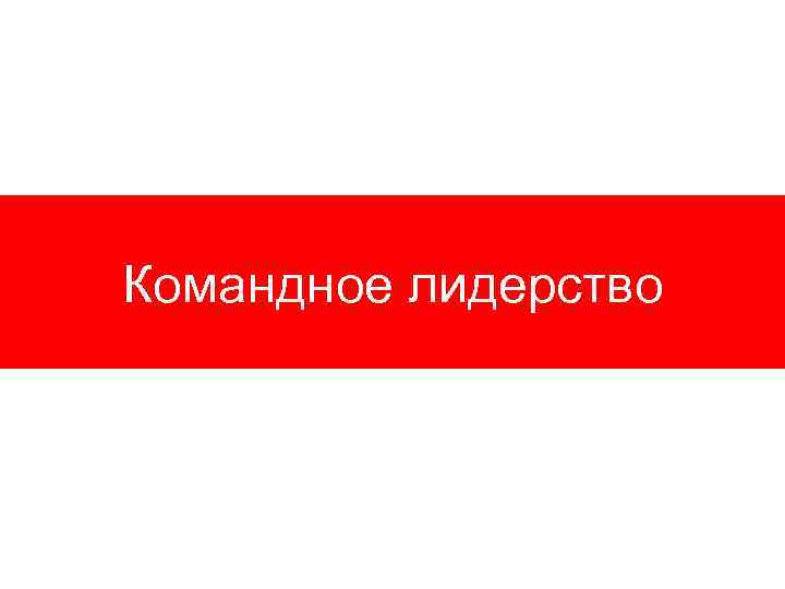 Командное лидерство 