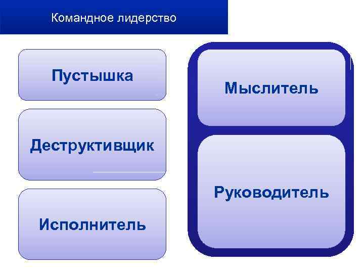 Командное лидерство Пустышка Мыслитель Деструктивщик Руководитель Исполнитель 
