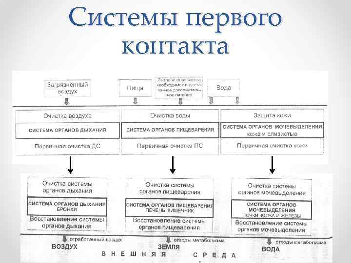 Системы первого контакта 