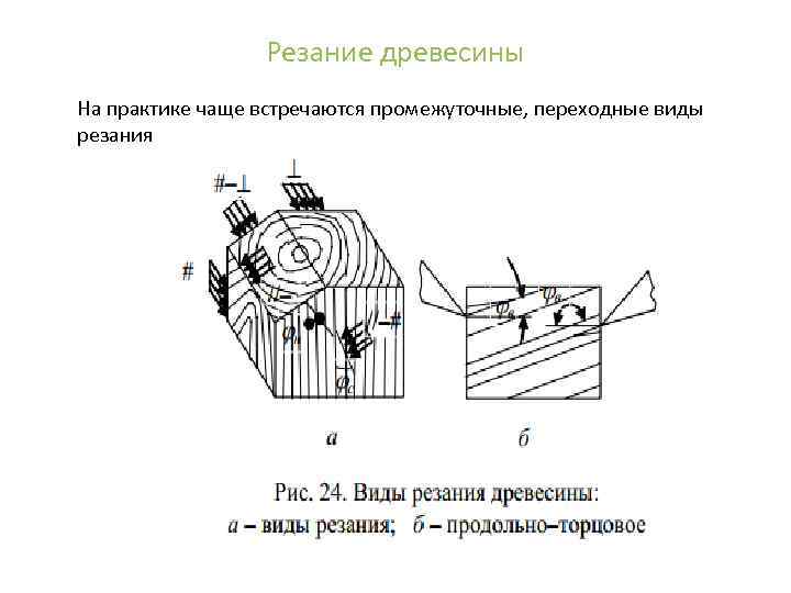 Резание древесины На практике чаще встречаются промежуточные, переходные виды резания 