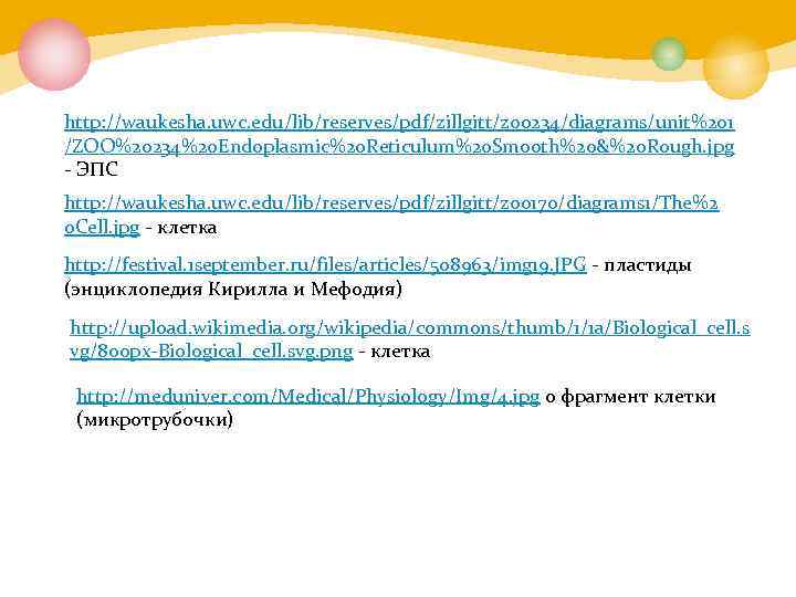 http: //waukesha. uwc. edu/lib/reserves/pdf/zillgitt/zoo 234/diagrams/unit%201 /ZOO%20234%20 Endoplasmic%20 Reticulum%20 Smooth%20&%20 Rough. jpg - ЭПС http: