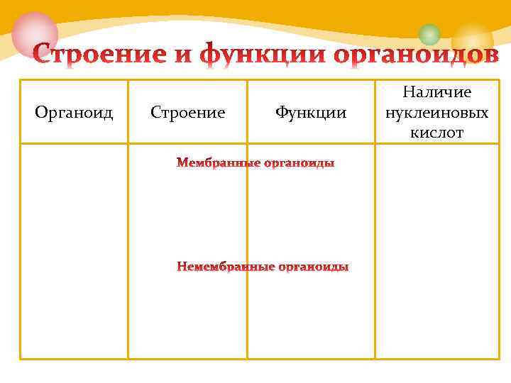 Органоид Строение Функции Наличие нуклеиновых кислот 