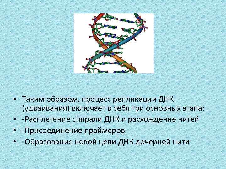  • Таким образом, процесс репликации ДНК (удваивания) включает в себя три основных этапа:
