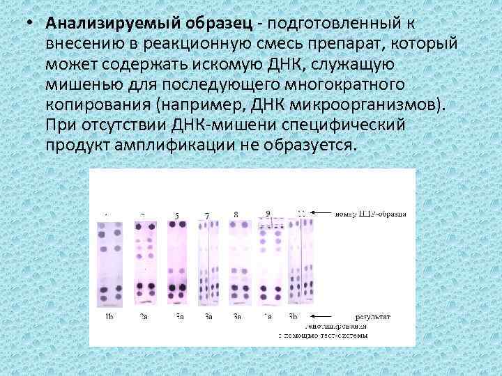  • Анализируемый образец - подготовленный к внесению в реакционную смесь препарат, который может