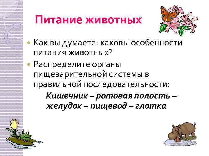 Питание животных Как вы думаете: каковы особенности питания животных? Распределите органы пищеварительной системы в