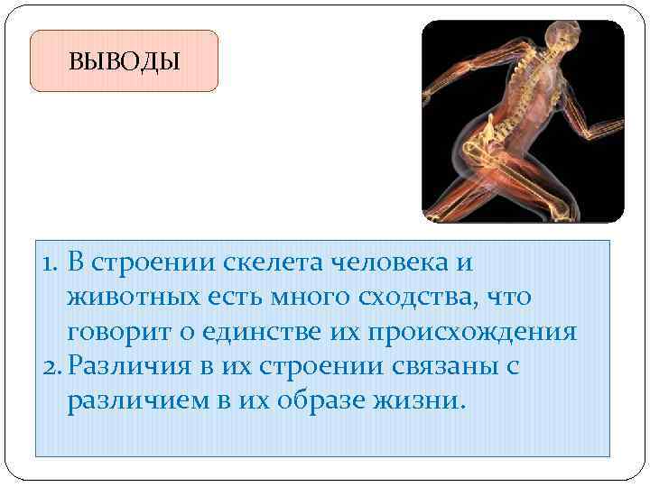 ВЫВОДЫ 1. Попробуйте сформулировать • В строении скелета человека и животных есть много сходства,