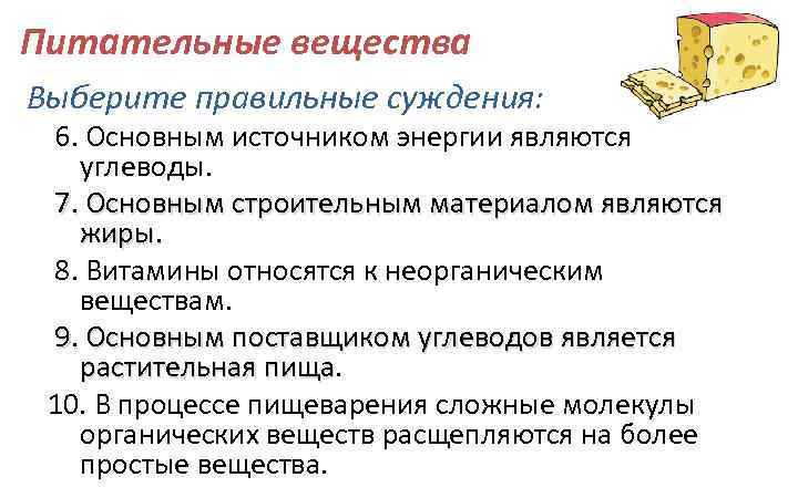 Питательные вещества Выберите правильные суждения: 6. Основным источником энергии являются углеводы. 7. Основным строительным