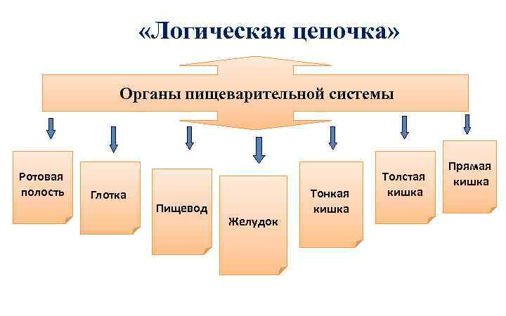 Система и цепочка