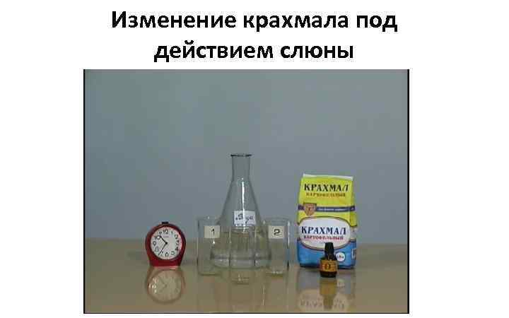 Изменение крахмала под действием слюны 