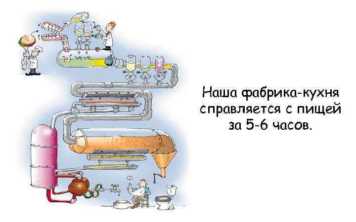 Наша фабрика-кухня справляется с пищей за 5 -6 часов. 