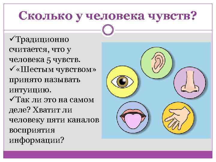 Пять основных органов чувств у человека. Сколько чувств у человека. Пять основных органов чувств.