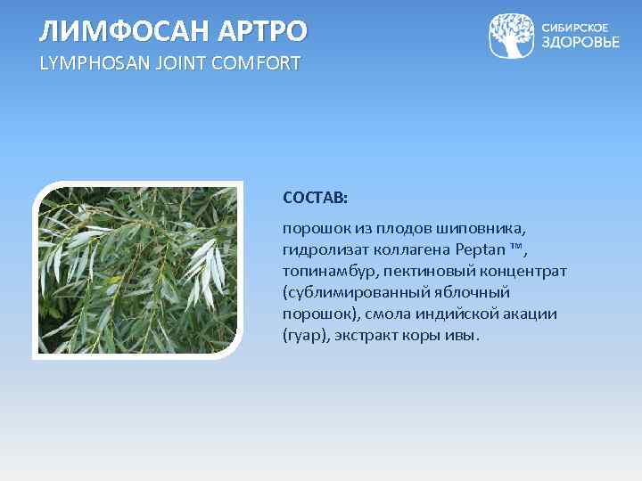 ЛИМФОСАН АРТРО LYMPHOSAN JOINT COMFORT СОСТАВ: порошок из плодов шиповника, гидролизат коллагена Peptan ™,