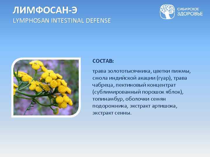 ЛИМФОСАН-Э LYMPHOSAN INTESTINAL DEFENSE СОСТАВ: трава золототысячника, цветки пижмы, смола индийской акации (гуар), трава