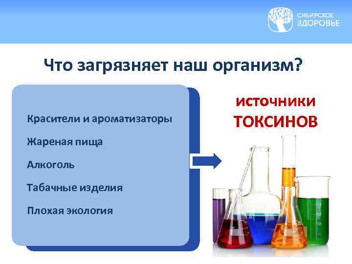 Что загрязняет наш организм? Красители и ароматизаторы Жареная пища Алкоголь Табачные изделия Плохая экология