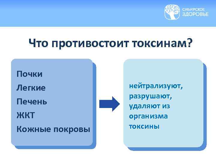 Что противостоит токсинам? Почки Легкие Печень ЖКТ Кожные покровы нейтрализуют, разрушают, удаляют из организма