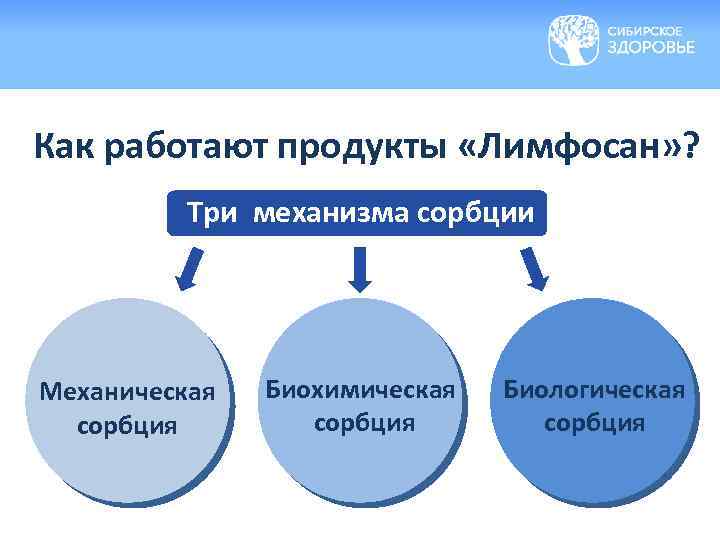 Как работают продукты «Лимфосан» ? Три механизма сорбции Механическая сорбция Биохимическая сорбция Биологическая сорбция