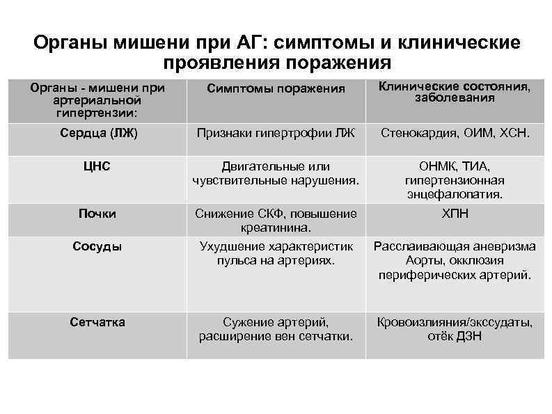 Органы мишени при АГ: симптомы и клинические проявления поражения Органы - мишени при артериальной