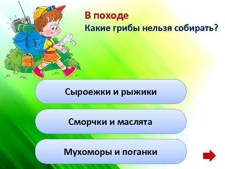 В походе Какие грибы нельзя собирать? Сыроежки и рыжики Сморчки и маслята Мухоморы и