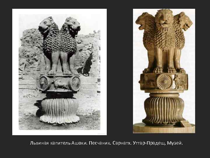 Львиная капитель Ашоки. Песчаник. Сарнатх. Уттар-Прадеш, Музей. 