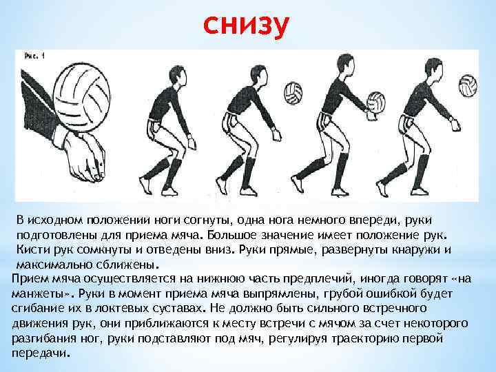 снизу В исходном положении ноги согнуты, одна нога немного впереди, руки подготовлены для приема