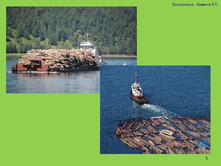 Выполнила: Хомина Я. П. 9 