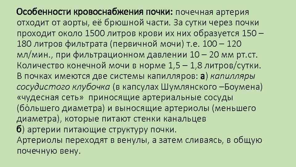 Особенности кровоснабжения почки: почечная артерия отходит от аорты, её брюшной части. За сутки через