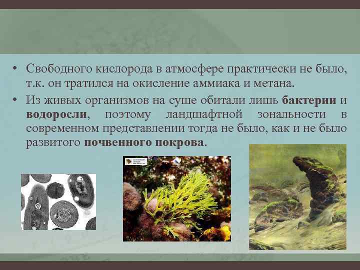  • Свободного кислорода в атмосфере практически не было, т. к. он тратился на