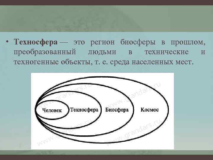  • Техносфера — это регион биосферы в прошлом, преобразованный людьми в технические и