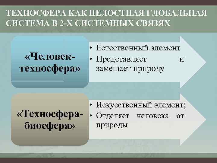 Проект по обж эволюция среды обитания переход к техносфере